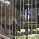 FITS_213 (May 04, 2019)